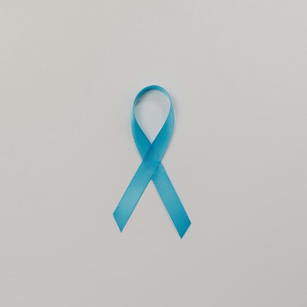 Survivorship & Support
