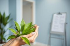 Close-up of hands gently holding a vibrant green plant. Soft blue background suggests a calming interior space, possibly a therapy or wellness room. Focus on nature, growth, and peaceful environment.