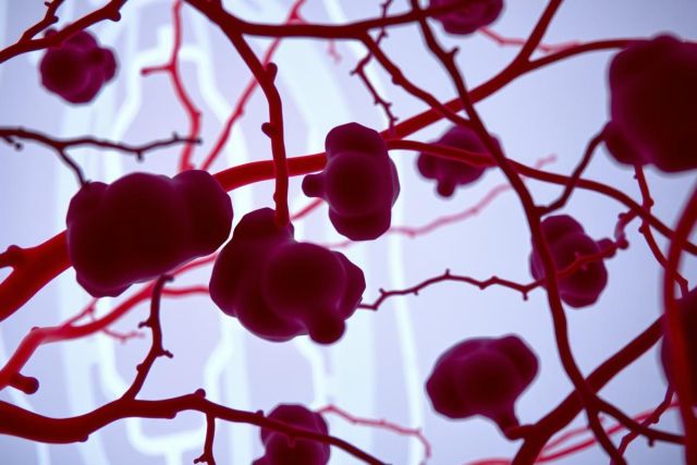 This image depicts a close-up view of blood vessels, likely from the circulatory system. The vascular structure is prominent with intricate networks of red cells and capillaries. The background has a purple hue which highlights the veins' complexity and texture.