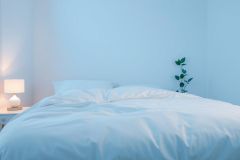 Minimalist bedroom interior with a neatly made white bed, bedside table lamp, and a small potted plant. The scene features a cool blue lighting scheme creating a calming and serene atmosphere. Modern bedroom decor, clean lines, and a peaceful aesthetic.