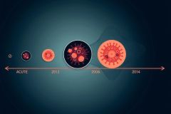 The image is a graphical illustration showing the evolution of virus particles from 2013 to 2014. Starting with a single, small red virus particle at the top left, and then adding more particles as it moves right across the image. The background transitions from black on the left to a lighter shade on the right, possibly indicating the time period each year is depicting.