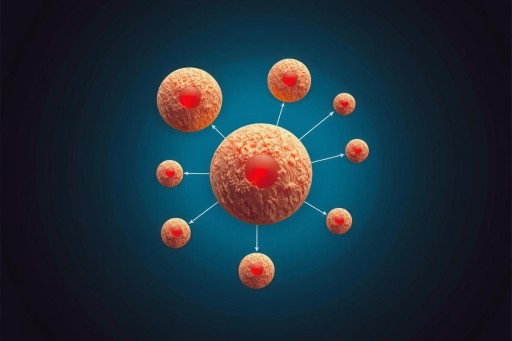 How Is Thyroid Cancer Staged?