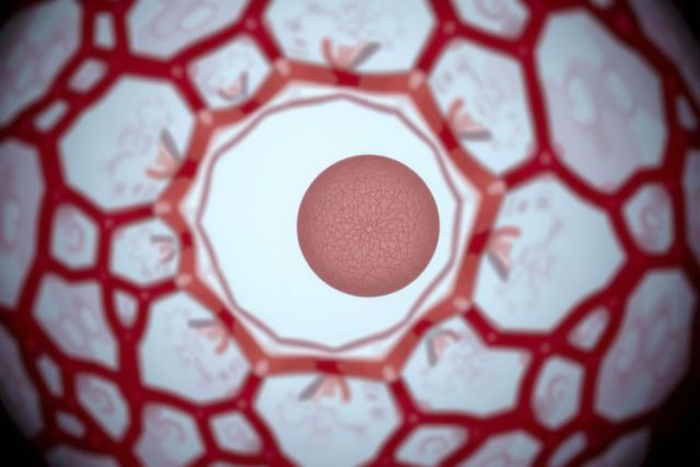 The image displays an extreme close-up view of a biological cell, showing intricate details and the nucleus at its center. The interior red matrix contrasts with the pinkish hue of the cytoplasm, highlighting the complexity and structure of cellular life.