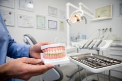 Dentist holding a full dental model in a treatment room, demonstrating tooth shape and alignment near tools.