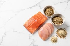 What Are the Best Protein Sources for Obesity Management?
