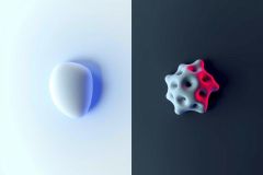 The image displays a comparison of two 3D-rendered objects, one spherical and the other with a complex, irregular structure. Both are presented in white against a neutral gray background, highlighting their forms.