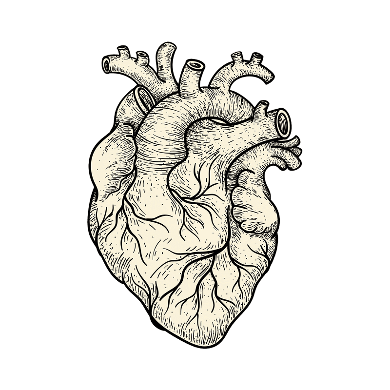 heart image