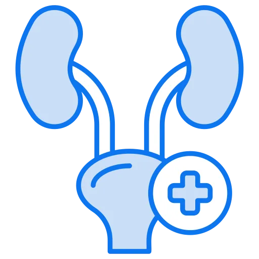 Bladder Cancer Recurrence and Progression Calculator
