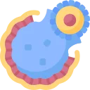 Bloom Icon